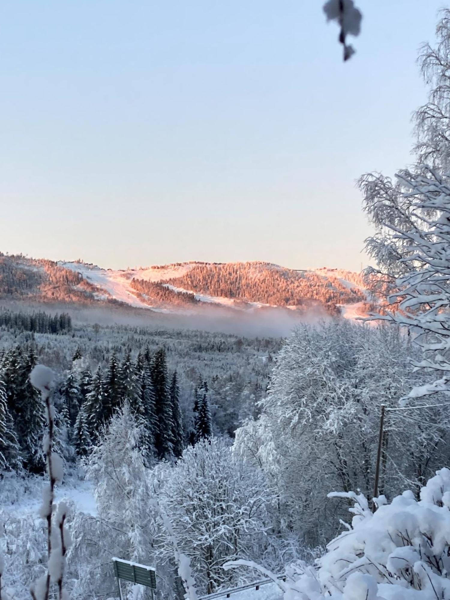 Charmig Villa Med Bastu Och Snabbt Wifi Långav Esterno foto